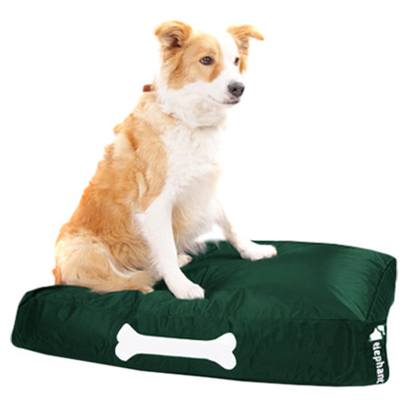 Wayfair extra sales large dog beds